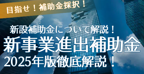 新事業進出補助金2025年について解説！1社最大9000万円！
