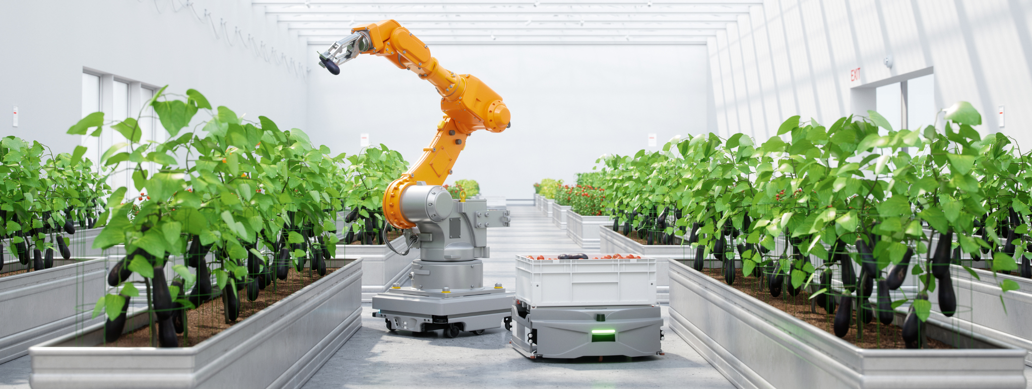 中小農家向け農業ロボット「Amiga」：持続可能な農業の未来へ - iCOM